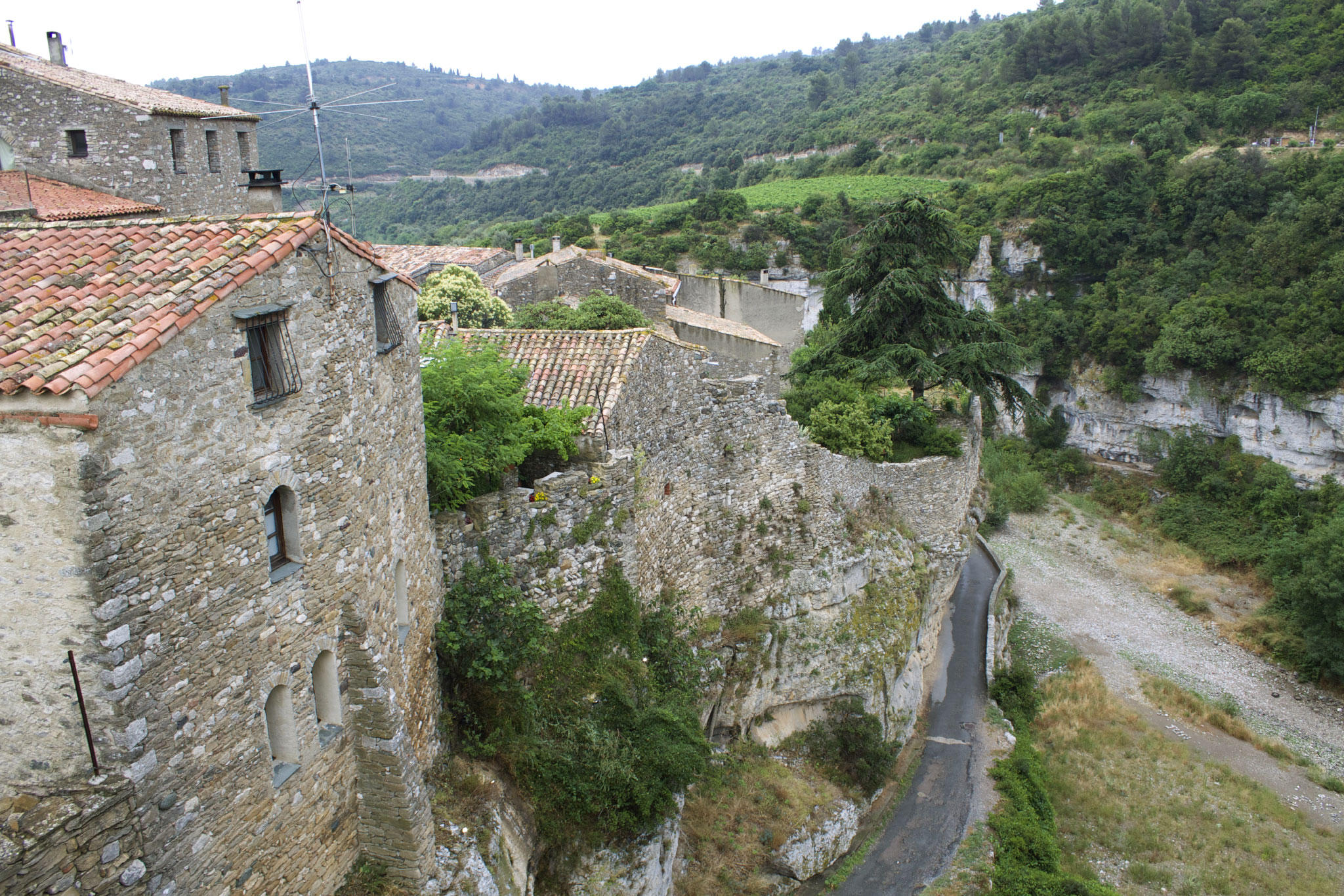 Minerve